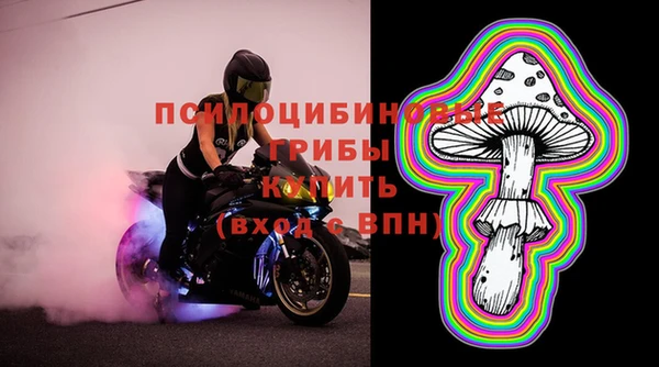 спайс Белокуриха