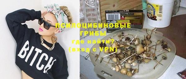 спайс Белокуриха